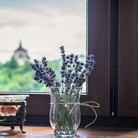 Belavita Apartment *